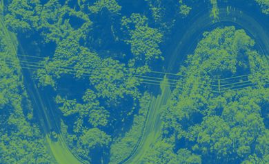 Seleção e Gestão de Fornecedores nas PME | Guia Prático NRN